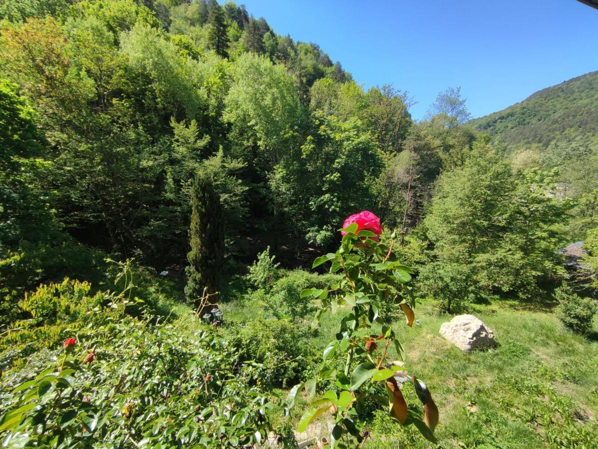 Bed and Breakfast Moulin Vieux La Bollène-Vésubie Zewnętrze zdjęcie
